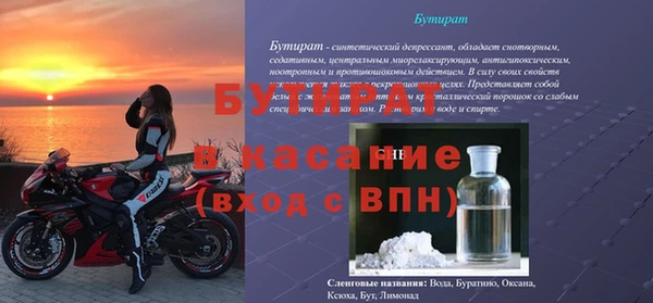 прущие грибы Бородино