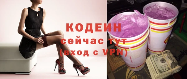 прущие грибы Бородино