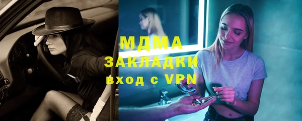 прущие грибы Бородино