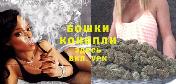 прущие грибы Бородино