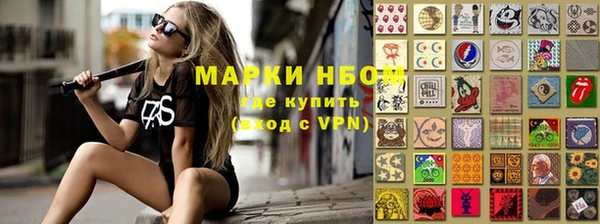 прущие грибы Бородино