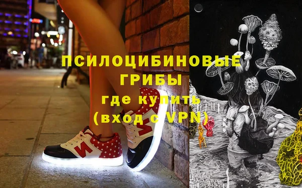 мдпв Верхний Тагил
