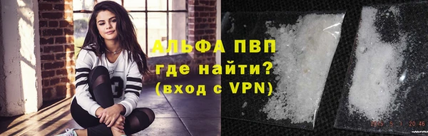 прущие грибы Бородино