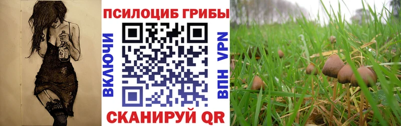 Псилоцибиновые грибы MAGIC MUSHROOMS  Купить закладки  Рузаевка 