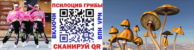 Псилоцибиновые грибы MAGIC MUSHROOMS Рузаевка