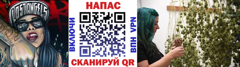 Купить  Рузаевка  Бошки Шишки гибрид 